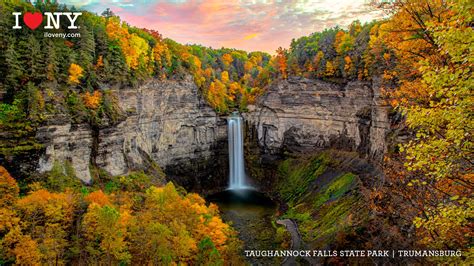 Video conferencing backgrounds featuring New York State in the fall