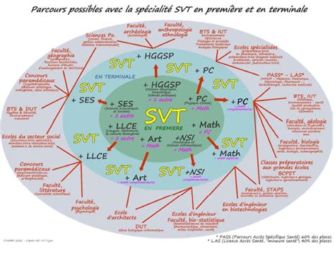 Graphique SVT 的图像结果
