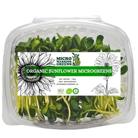 Organic Sunflower Microgreens (100g) – Micro Warrior Greens