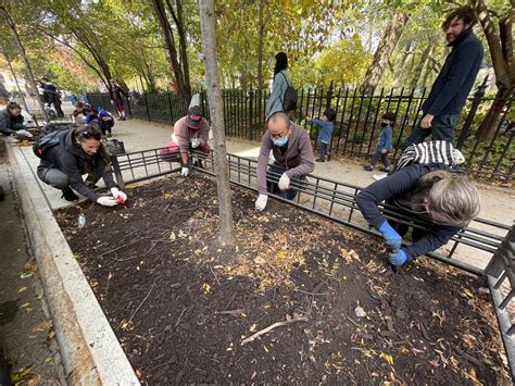 Crown Heights Street Tree Care Series:A Master Composter Volunteer ...