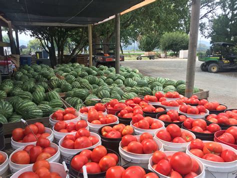 8 Outdoor Markets to Shop in Medford, Oregon | TouristSecrets