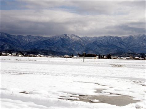 雪景色 2009-01-25：おくさまのひとりごと2