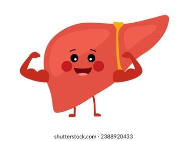 Image result for Liver Function Grincs
