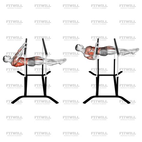 Image result for Front Lever Exercise