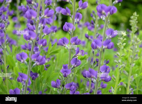 Image result for Rectangular Photo Frame Colorless