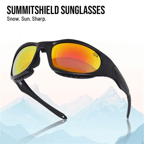 Sunglasses Collection - Reccy