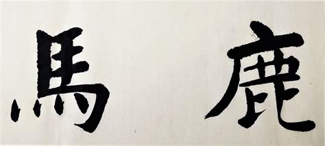 Japanese Swear Word Baka | Meaning and Origin Explained - LingoDeer