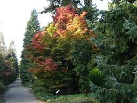 Doorn 2021, #10 places to visit in utrecht, top things to do, reviews ...