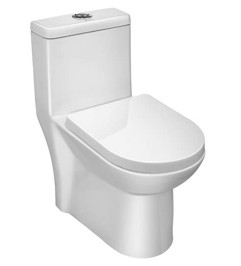 Rimless Single Piece WC (C893846) | Parryware