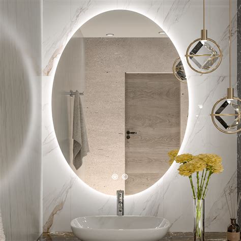 Ivy Bronx Amyla Oval Backlit LED Bathroom Vanity Mirror AntiFog ...