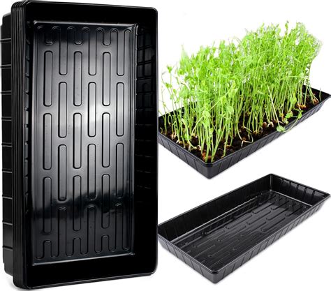 QTUN Seed Trays, 5 Pack Plastic Growing Trays without Holes, Plant ...