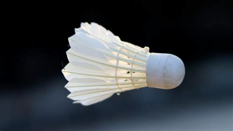 Badminton Compétition 的图像结果