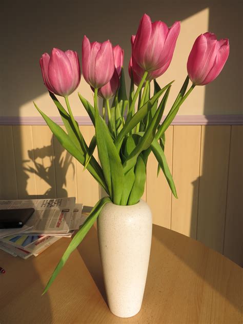 Free Images : bunch, petal, bloom, tulip, vase, decoration, pink, still ...
