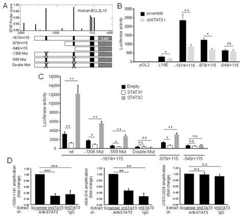 BCL2L10 Is Overexpressed in Melanoma Downstream of STAT3 and Promotes ...