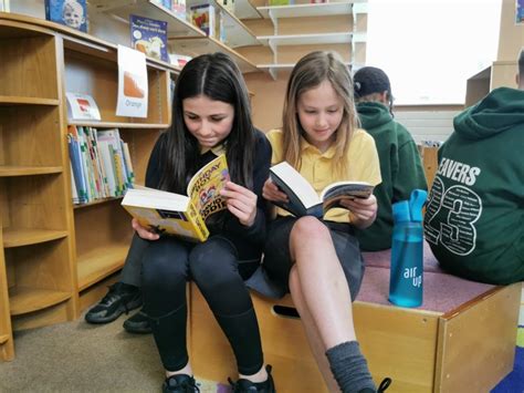 Image result for New Library Books