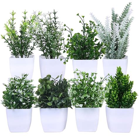 amazon basics Artificial Plants with Pot| Multi Variety | Durable ...