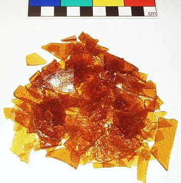 Shellac Coated 的图像结果