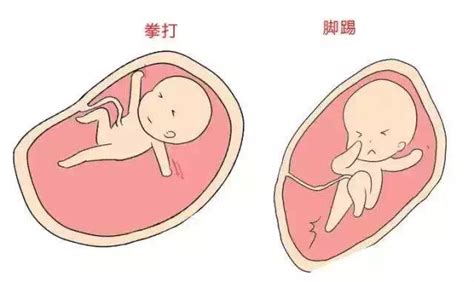 【好孕打卡】第20天｜几个简单实用的数胎动方法_宝宝