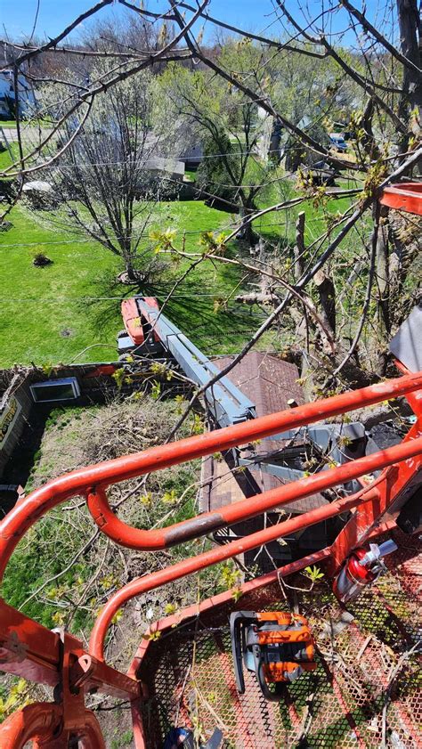 Quad-City Times Obituaries - Nancy VanHook has sadly passed away. We ...