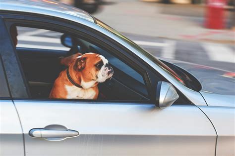 How Do Parking Tickets Affect Auto Insurance Rates?