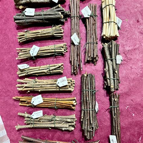 Craft Sticks 的图像结果