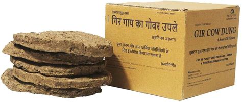 MAGPIE Organic Holy Indigenous Gir Cow Dung Cake/Gobar ke Kande/Upale ...