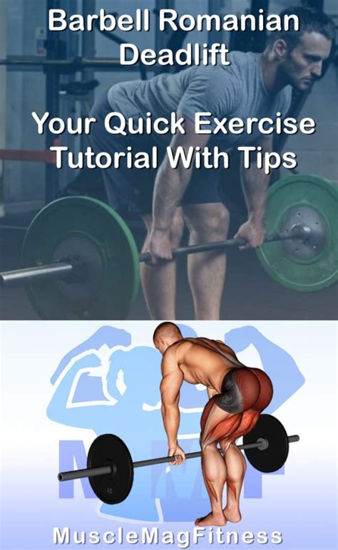 Barbell Romanian Deadlift: Your Quick Exercise Tutorial With Tips