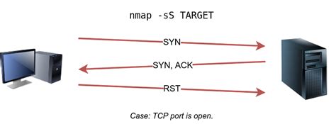 Nmap SynScan 的图像结果
