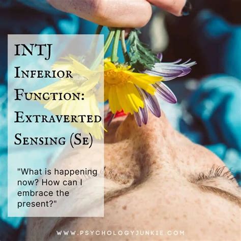 The INTJ Cognitive Function Stack - Psychology Junkie