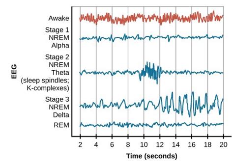 Sleep 的图像结果