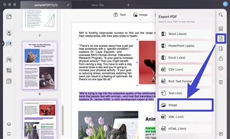 Batch Convert PDF to Text 的图像结果