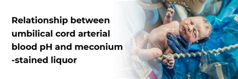 Relationship between umbilical cord arterial blood pH and meconium ...