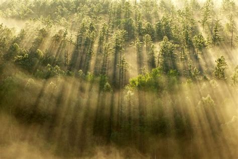 2015“中林杯”国家森林公园风光摄影大赛之三等奖 - 自然之声