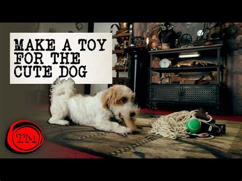 Image result for Taskmaster Dog Task