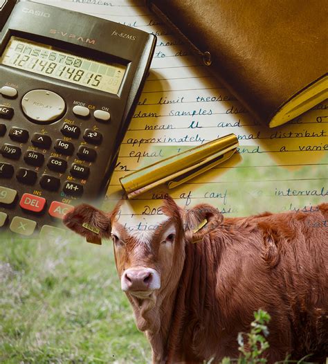 Yield Calculator 的图像结果