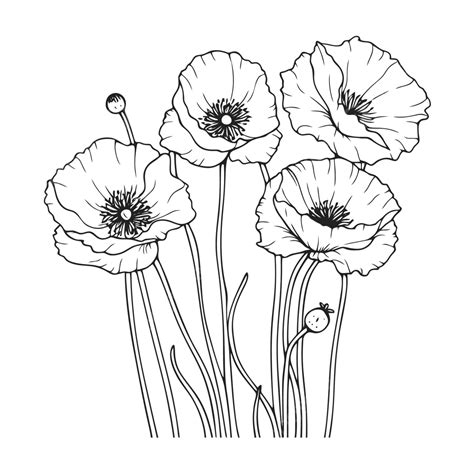 Poppy Flowers Coloring Page