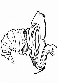 malvorlagen harry potter free gryffindor coloring page at getcolorings free malvorlagen harry potter free gryffindor coloring page at getcolorings free