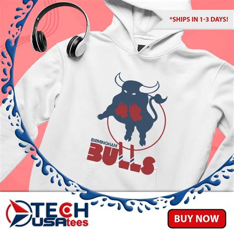 Bulls Hockey Logo