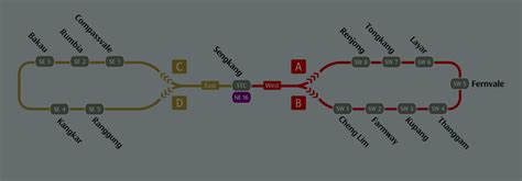 Ser Local Train 的图像结果