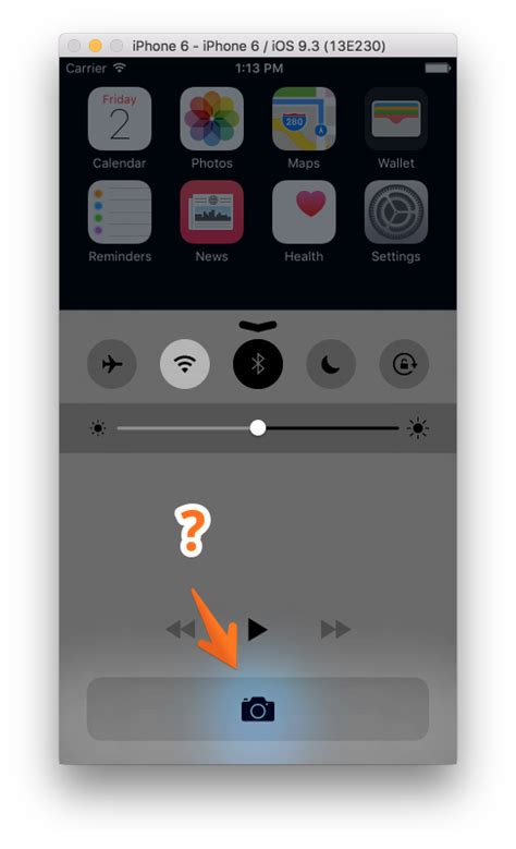Xcode Camera Access Tutorial 的图像结果