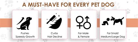 Medfly Vitaboost Multivitamins and Minerals Supplement for Dogs (Pack ...