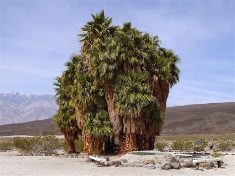 Saline Valley Warm Springs - Death Valley, California - Top Hot Springs