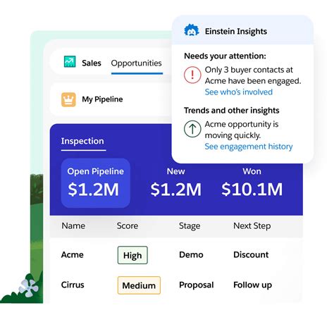 Sales Data | Salesforce India