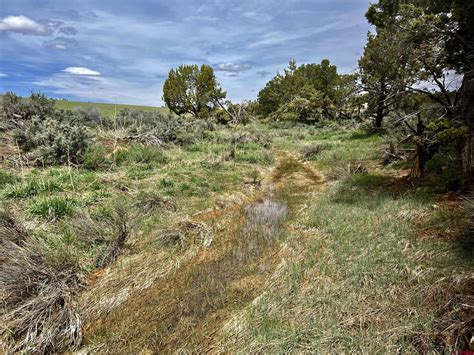 Land For Sale In Dove Creek Co at Emmanuel Jones blog
