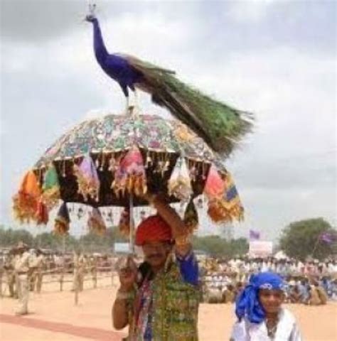 Kallaji fair 2025, India - Venue, Date & Photos