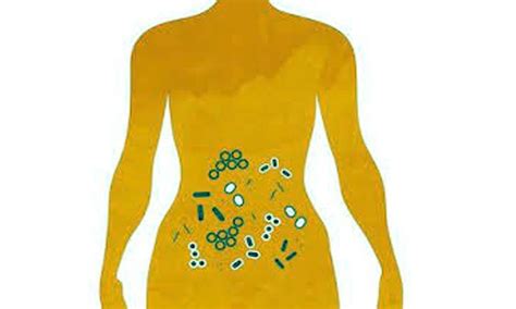 Serotonin may protect against Gastrointestinal infections: Study