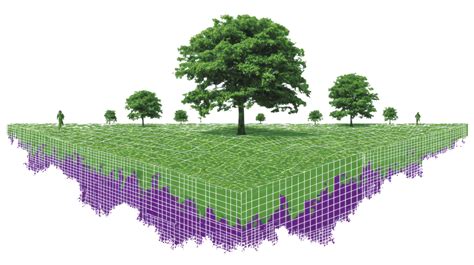 Technology Tree PNG Transparent 的图像结果