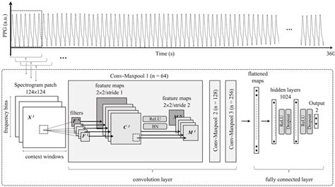 Convolutional Network Architecture 的图像结果