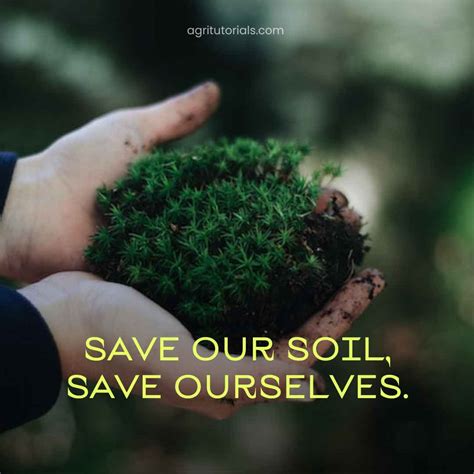 100 Powerful Slogans on Soil Conservation: Transform the Earth - AGRI TUTORIALS