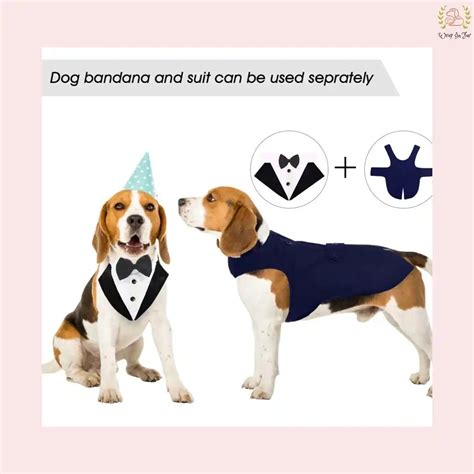 Order Black Cape Tuxedo for dogs with bandana at ₹1099 – Wrapinfur